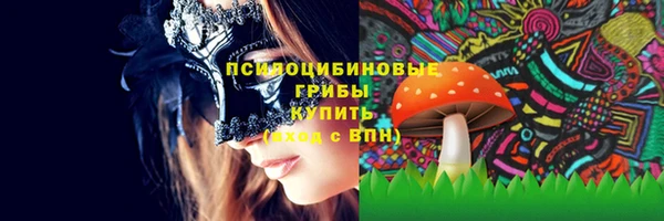 мдпв Иннополис