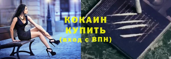 гидра Инсар