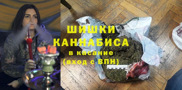 гидра Инсар