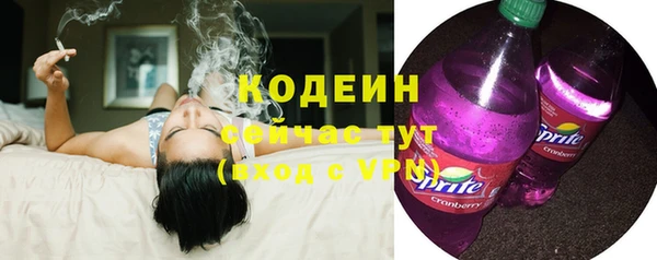 мдпв Иннополис