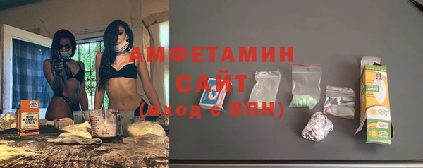 гидра Инсар
