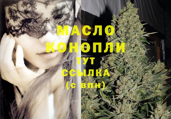 гидра Инсар