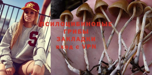 гидра Инсар