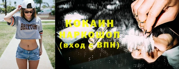гидра Инсар