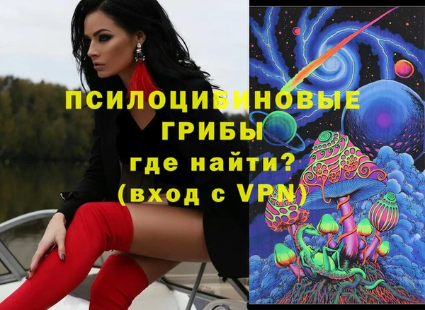 гидра Инсар