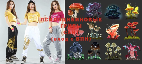 мдпв Иннополис