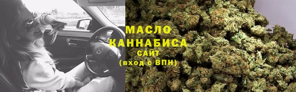 гидра Инсар