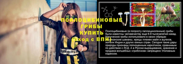 мдпв Иннополис