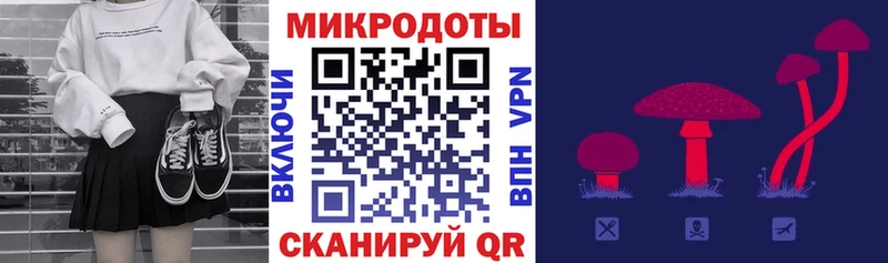 Купить закладки  Завитинск  Псилоцибиновые грибы мухоморы 